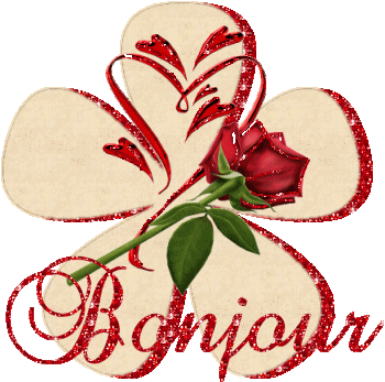 BONJOUR !!!!