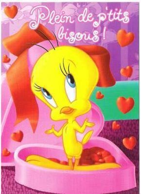 IMAGE TITI