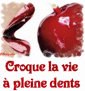 CROQUE LA VIE A PLEINE DENTS