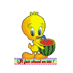 GIF TITI