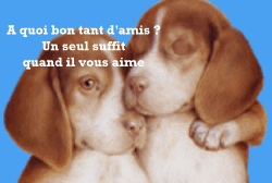 CITATION