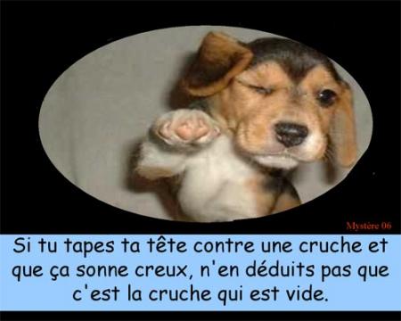 CITATION